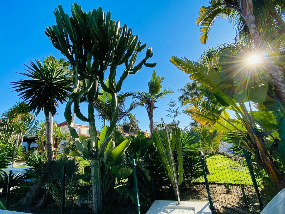 Studio-Near The Beach, Bbq And Seawater Pool Marbella Exterior photo